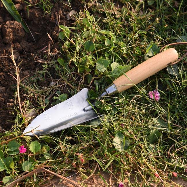 Hand Trowel Garden Tool scenes