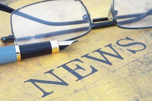 Narenciye İçin Hangi Yüksek Dal Makası Daha Uygun?