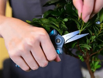 Neden yeni ve daha büyük makası piyasaya sürdük?