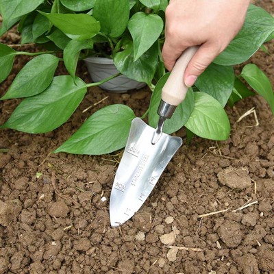 Bahçe Ekim Günlüğü -1