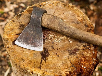 Ağaç Kesme Aletleri ve Güvenlik Donanımları