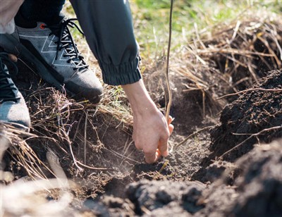 Kökleri Kazmak İçin Eğlenceli Adımlar