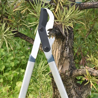 Dal Budamada En İyi Araç Baypas Dal Kesme Makinasıdır