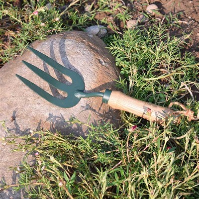 Bahçe Aletlerinin Günlük Maceraları