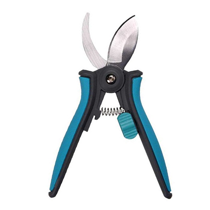 ev bitkisi budayıcı