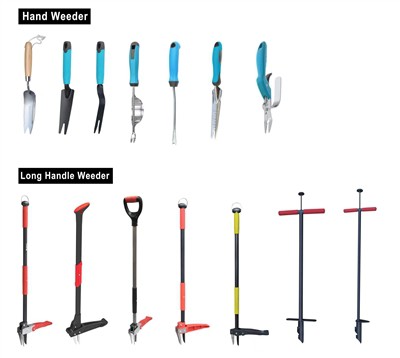 Yeşili Yetiştirmek: Bahçenizde Sürdürülebilirliği Kucaklamak