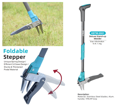 Dünya Çapında Orta Sonbahar Festivali Kutlanıyor: Gelenek ve Bahçe Aletlerini...