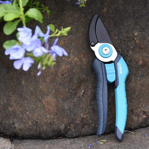 Garden Shears Display with Floral Backdrop Garden Shears Display with Floral Backdrop