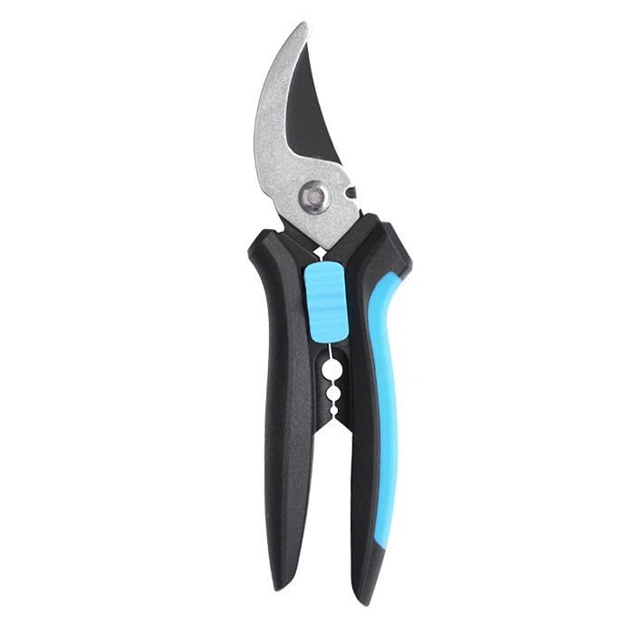 Profesyonel Gül Budaçlar